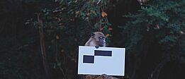 Ein Affe sitzt auf einem Baumstumpf und hält ein weißes Schild mit schwarzen Rechtecken.