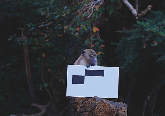 Ein Affe sitzt auf einem Baumstumpf und hält ein weißes Schild mit schwarzen Rechtecken.