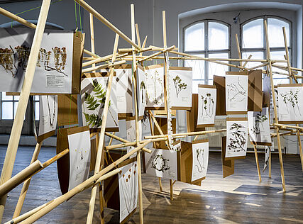 Chewing the Tundra, exhibition view, Lauri Linna: Green Blue Gold, 2022, photo: Wolfgang Thaler