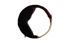 Ein Kafeesatzring auf weißem Hintergrund