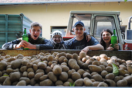 4 Jugendliche hinter einer Ladung Kartoffel