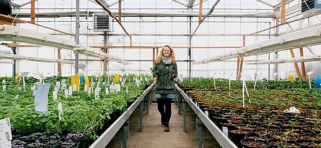 Eine junge Frau im Glashaus mit Kräuterpflanzen in der Hand