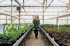 Eine junge Frau im Glashaus mit Kräuterpflanzen in der Hand