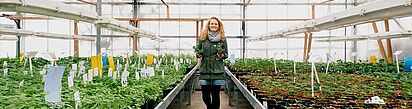 Eine junge Frau im Glashaus mit Kräuterpflanzen in der Hand