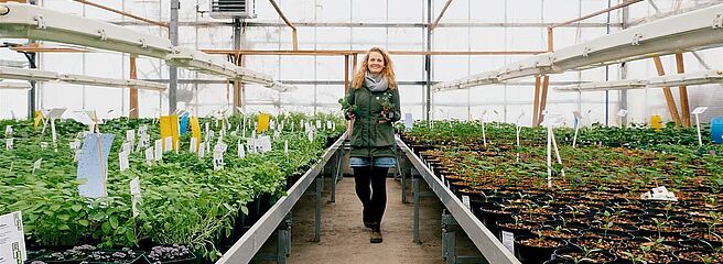 Eine junge Frau im Glashaus mit Kräuterpflanzen in der Hand