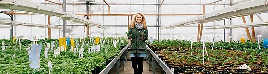 Eine junge Frau im Glashaus mit Kräuterpflanzen in der Hand