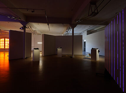 Installation view (c) kex—/Wolfgang Thaler