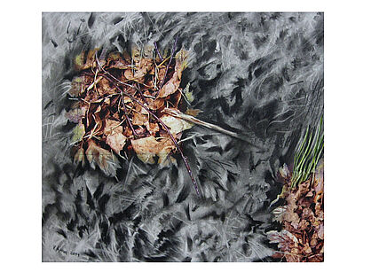 Laub 3, 38 x 43 cm, Digitalfotografie, Foto, Kohle, Acryl auf Papier, 2011