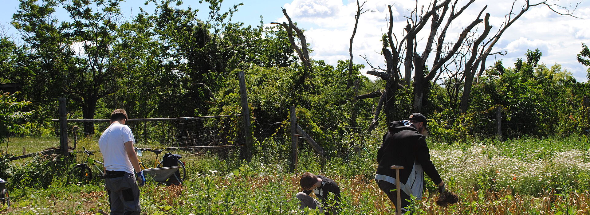 3 Jugendliche arbeiten im Feld