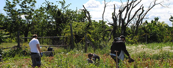 3 Jugendliche arbeiten im Feld