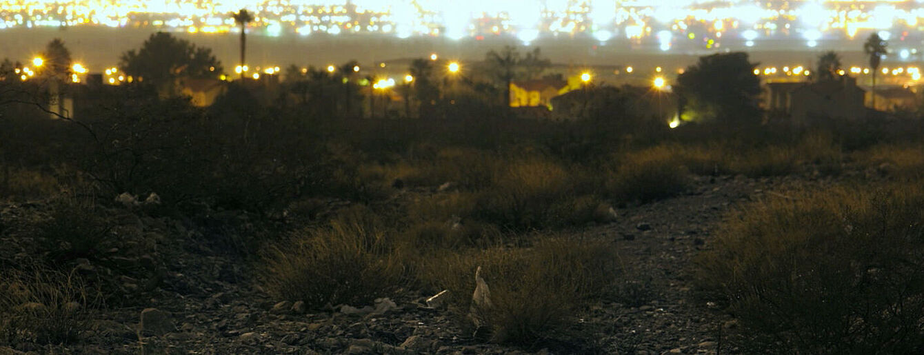 Eine dunkle und leere Landschaft. Im Vordergrund sind wenige Büsche. Im Hintergrund sind helle Lichter. Die Lichter gehören zu einer Stadt. Es ist Nacht.