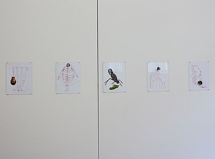 (c) kex—Wolfgang Thaler