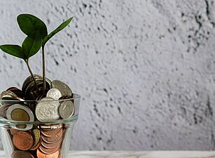 Photo by micheile dot com on Unsplash