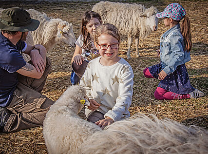 Schafe und Kinder