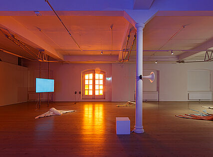 Installation view (c) kex—/Wolfgang Thaler