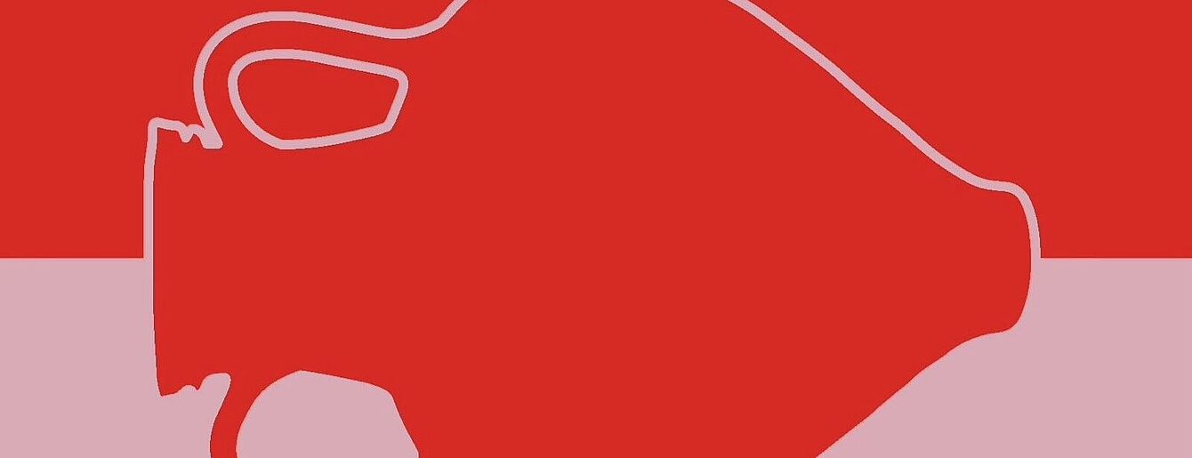 eine rot-rosa Grafik zeigt eine Amphore