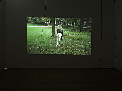 Lisa Meixner | underwater | 2012 | Ausstellungsansicht | KEX 2012 | Foto: Wolfgang Thaler