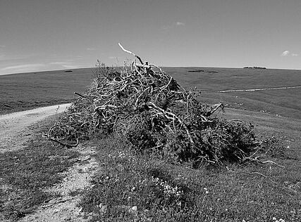 Unexpected Hills, 2021, Bildrecht