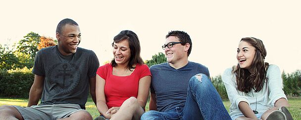4 junge Menschen sitzen im Gras
