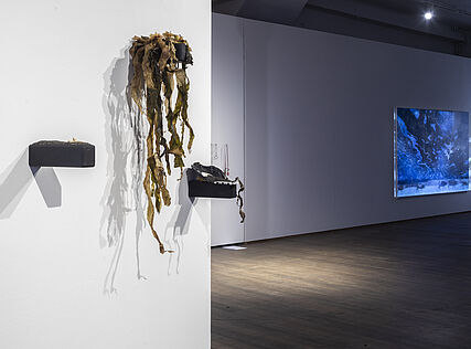 Chewing the Tundra, exhibition view, photo: Wolfgang Thaler