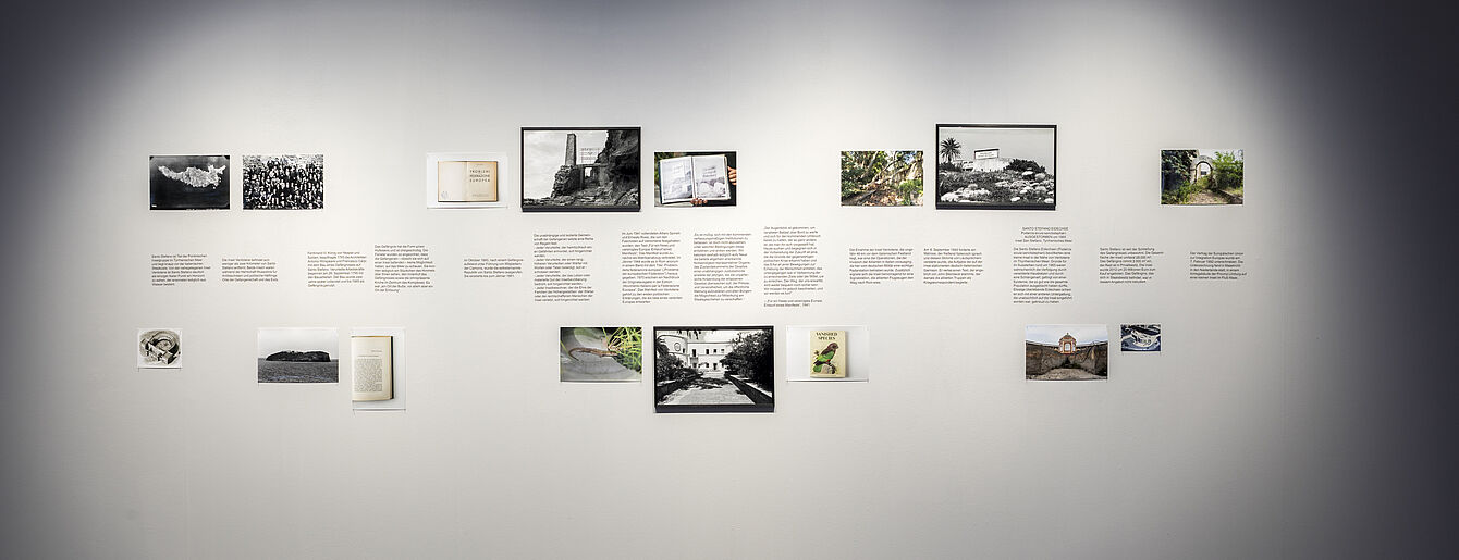 Ausstellungsansicht Ausstellungsansicht