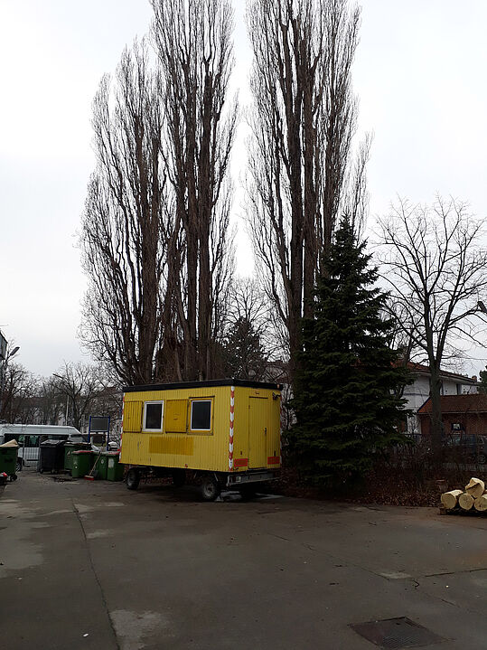 Der Bildungswagen an seinem Platz unter dem Pappelbaum