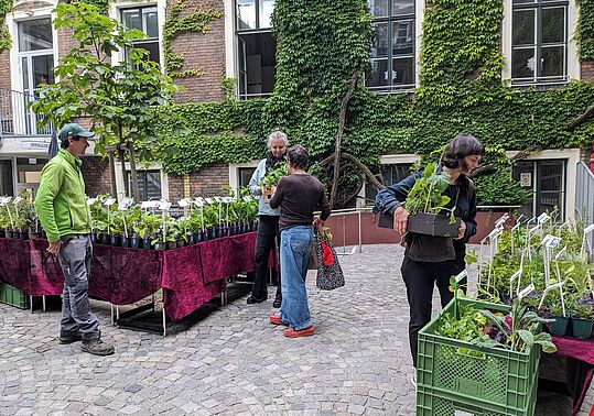 Foto: Susanne Senekowitsch Mehrere Personen stehen auf einem gepflasterten Innenhof mit Tischen, auf denen Pflanzen in Töpfen zum Verkauf stehen