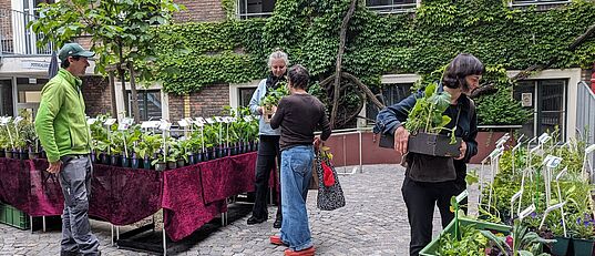 Mehrere Personen stehen auf einem gepflasterten Innenhof mit Tischen, auf denen Pflanzen in Töpfen zum Verkauf stehen