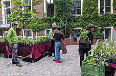 Mehrere Personen stehen auf einem gepflasterten Innenhof mit Tischen, auf denen Pflanzen in Töpfen zum Verkauf stehen