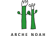 Arche Noah